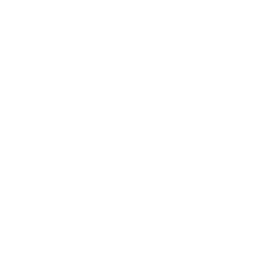 Echo