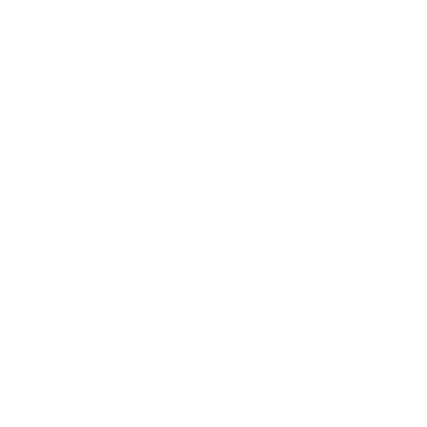 Echo
